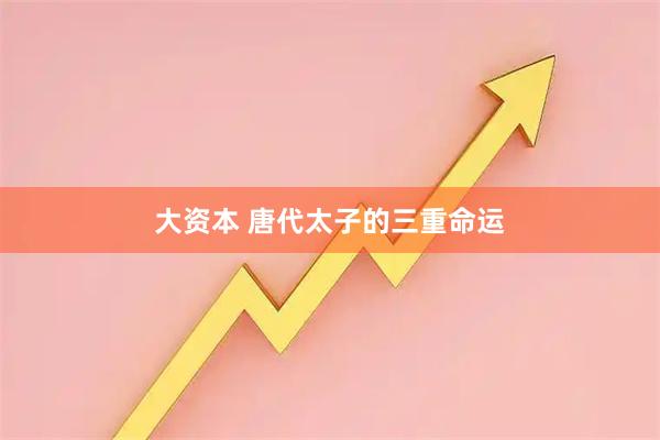 大资本 唐代太子的三重命运